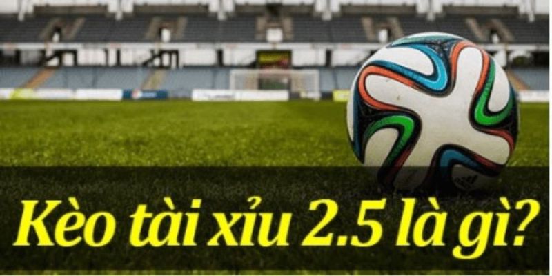 Hiểu đúng về kèo tài xỉu 2.5 trong cá cược