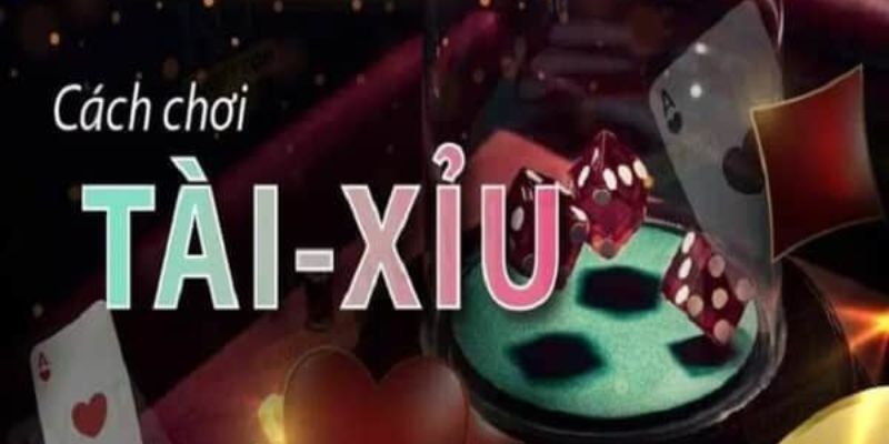 Lộ trình luyện tập và cải thiện kỹ năng